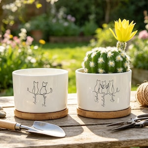 Può includere: Due vasi di ceramica bianca con sottovasi in bambù. Un vaso presenta un disegno a tratto di due gatti e i nomi "Amelia" e "James". L'altro vaso ha un disegno a tratto di tre gatti e i nomi "Sophia", "Amelia" e "Gerri". Un cactus con un fiore giallo è in un vaso.