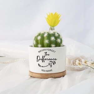 Pot de plante succulente qui fait la différence, cadeau de retraite pour patron, cadeau de remerciement d'un employé, cadeau de pot pour collègue, cadeaux inspirants pour enseignant