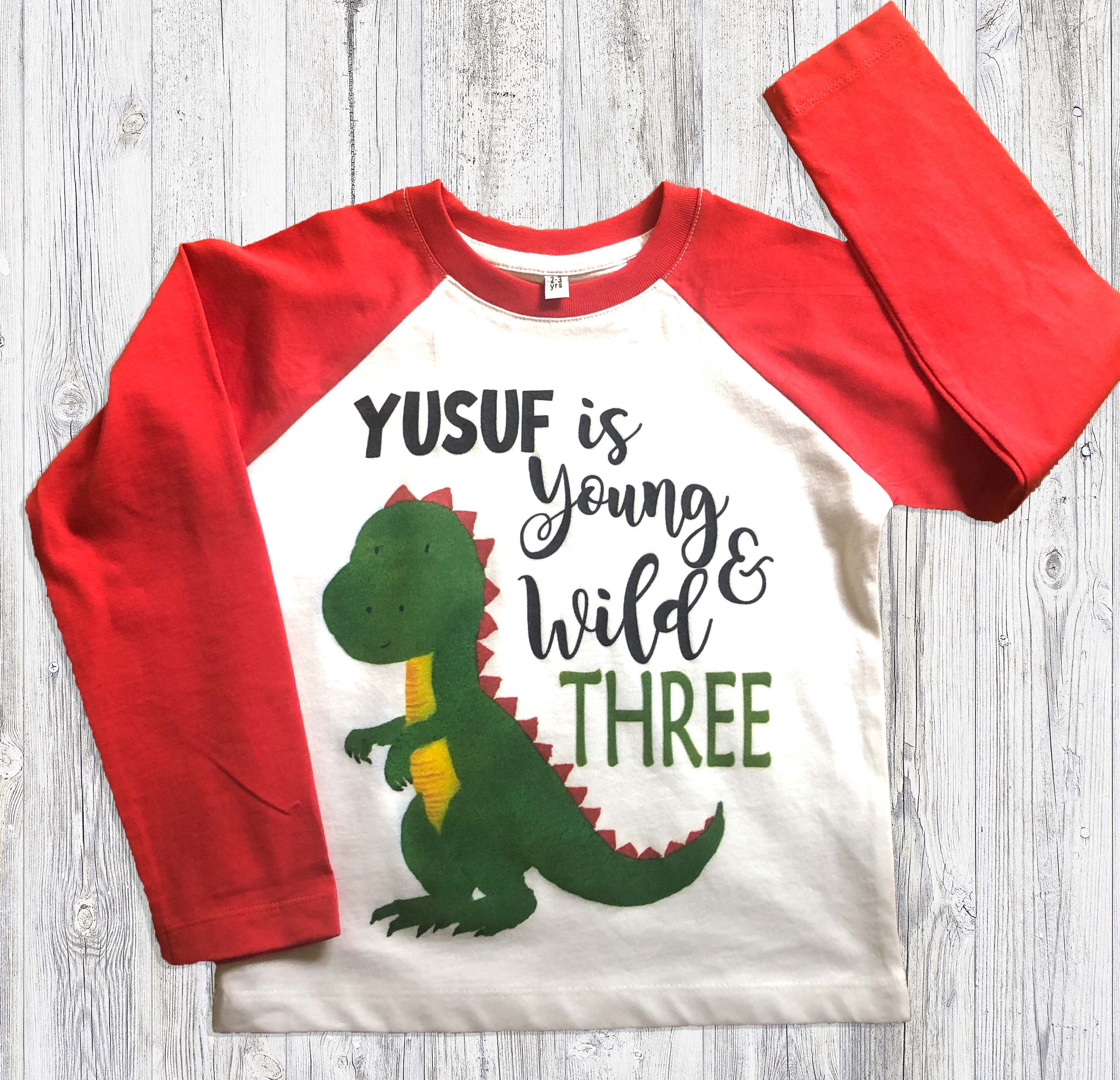 Young Wild and Three Birthday Shirt Dinosaur Birthday Shirt | Etsy UK