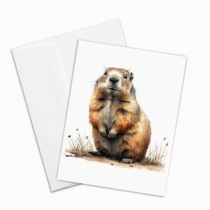 'Wissende Murmeltiere' Grußkarten - 3 Designs zur Auswahl - Wunderliche Wildtierfreuden für Ihre Briefkorrespondenz - A2 Grußkarten