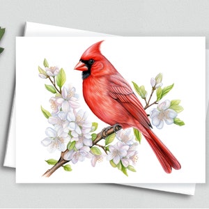 Serenata cardinal: Tarjetas de notas con ramas de flores - Tarjetas de notas A2 196