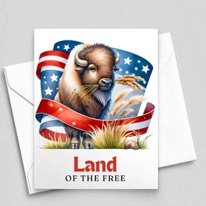 America the Beautiful - notitiekaart patriottische bizon - notitiekaart A2 067