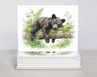 Black Bear Cub Watercolor Notecards, Woodland Wildlife Greeting Cards, Set of 6