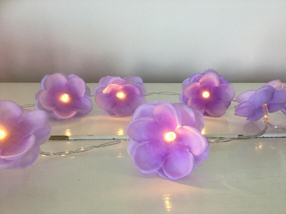Lilac 2024 fairy lights