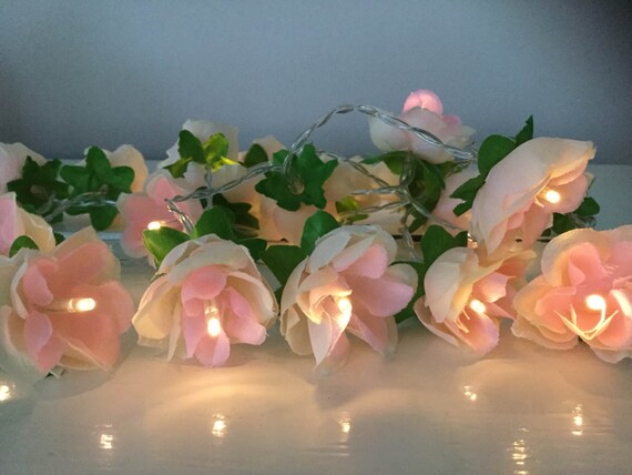 Shabby Chic Fairy Lights Rose Fairy Lights in Peach With a Pink