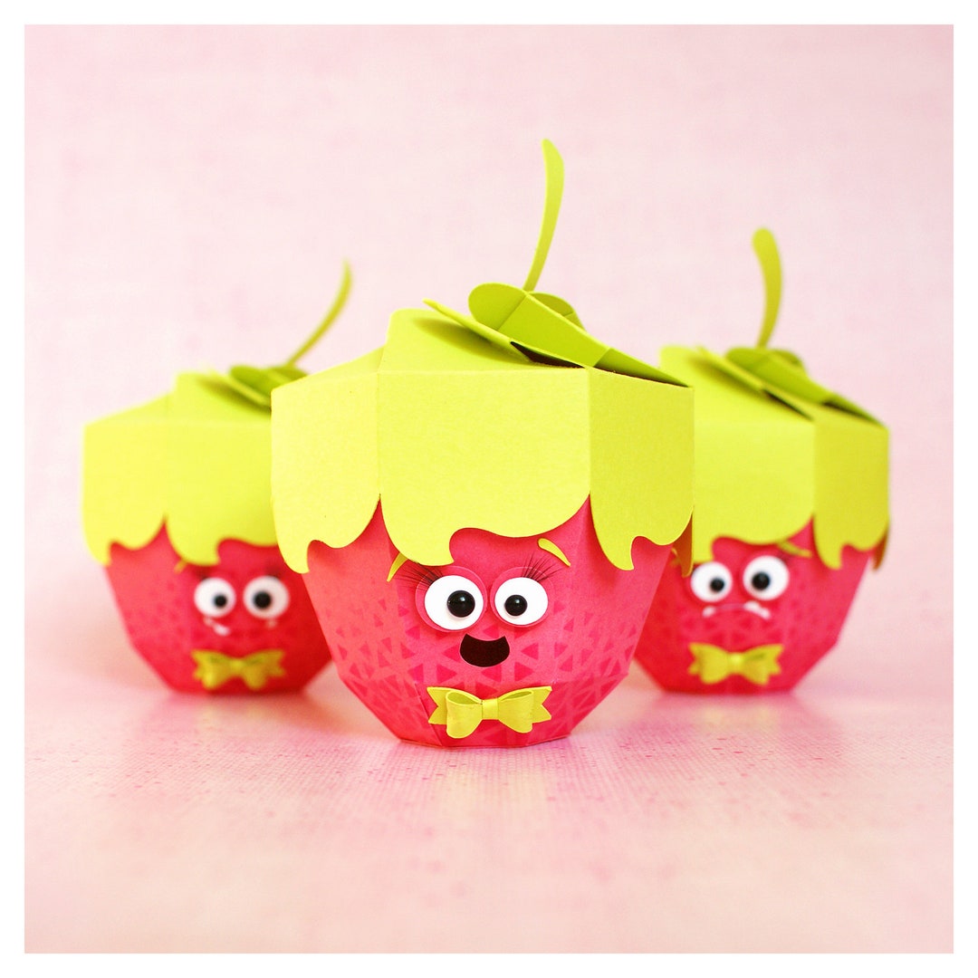 Cutting File Raspberry Gift Box monster 3in1 Etsy