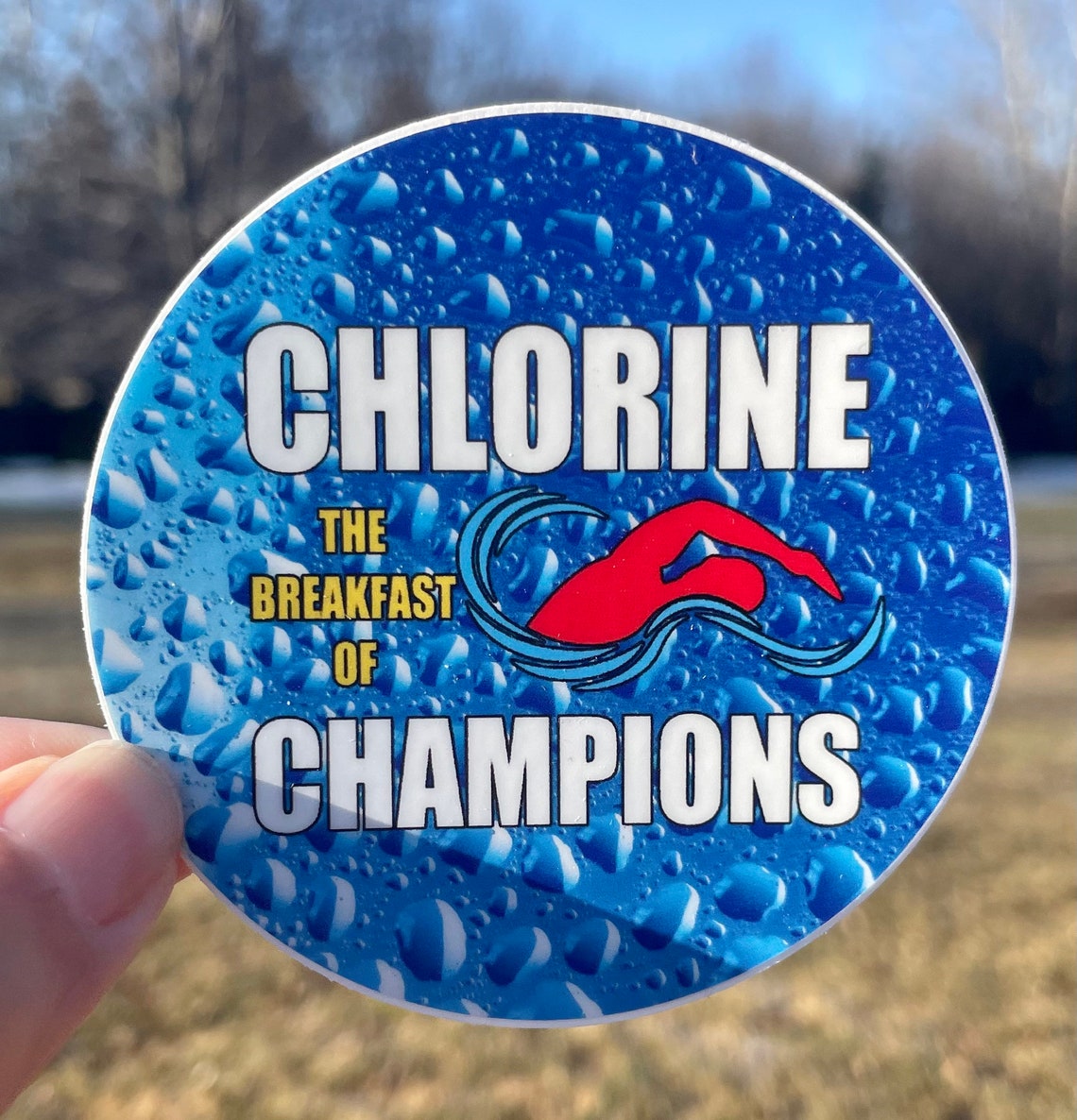 Vinyl Swim Sticker Water Bottle Sticker Swim Gift Swim Team Etsy