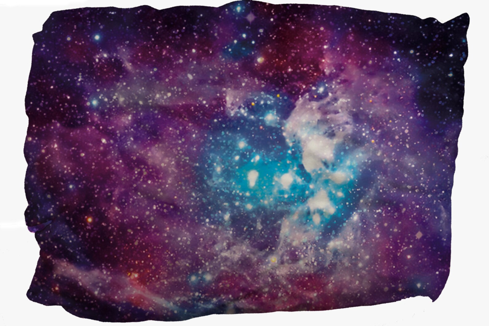 Galaxy Pet Bed_your Pet Can Relax in Comfort and Style | Etsy