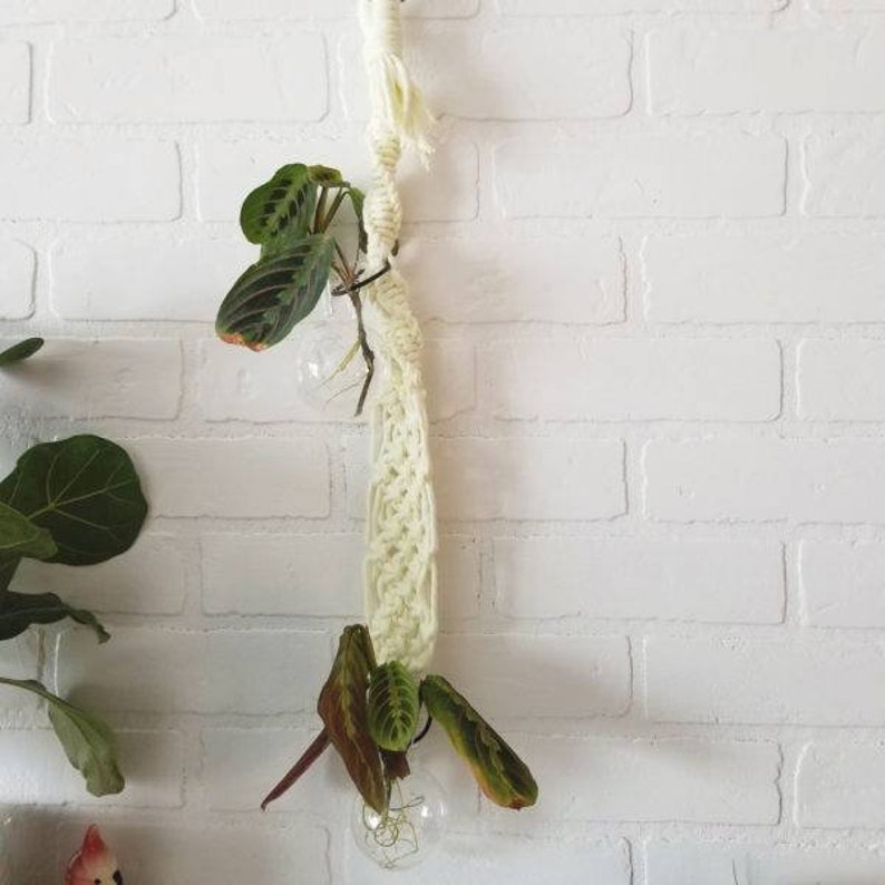 Shangri-la Propagation Hanger