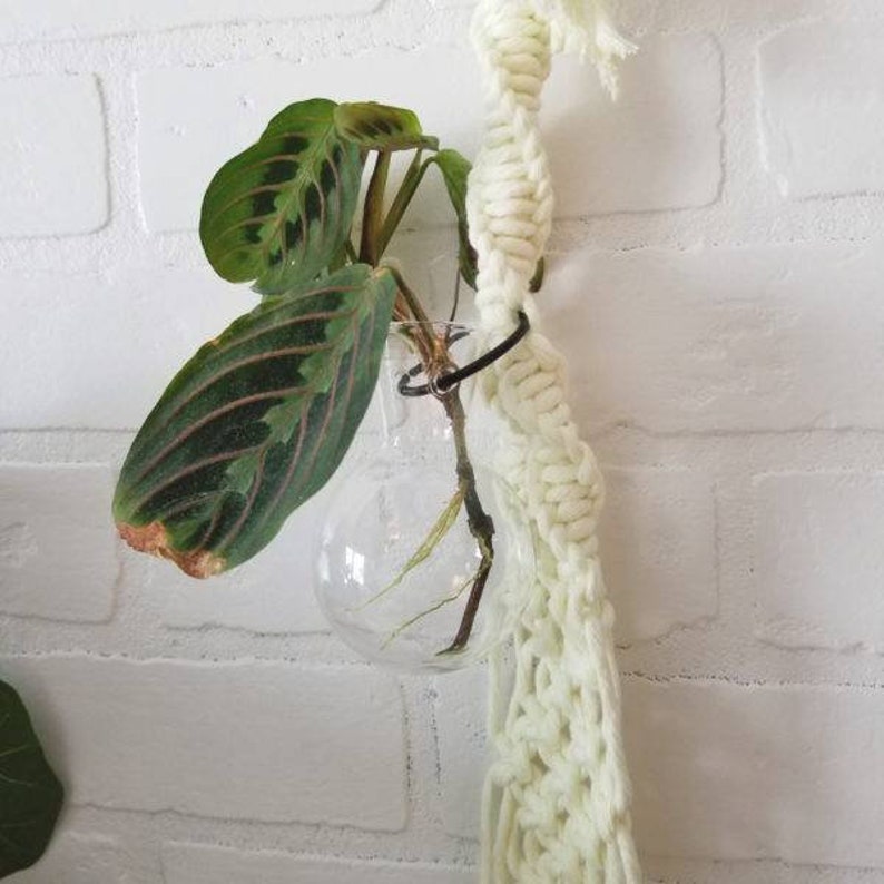 Shangri-la Propagation Hanger