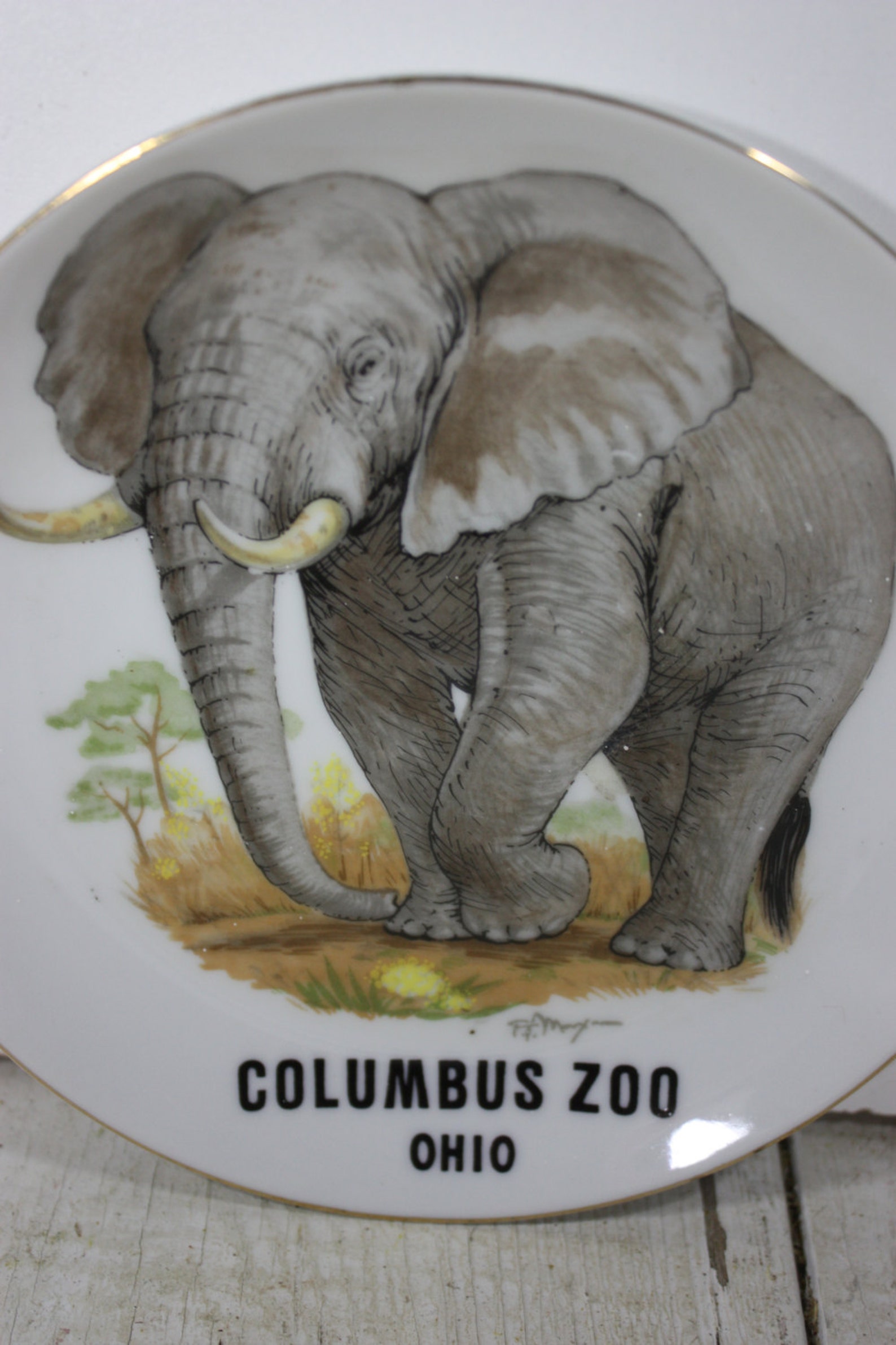 Vintage Columbus Ohio Zoo Souvenir Plate Elephant Porcelain | Etsy