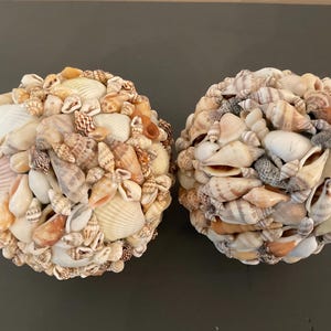 May include: Two spherical decorative objects completely covered in a dense arrangement of various small seashells. The shells display a natural palette of white, cream, tan, and brown tones, featuring diverse textures and spiral or fan shapes.