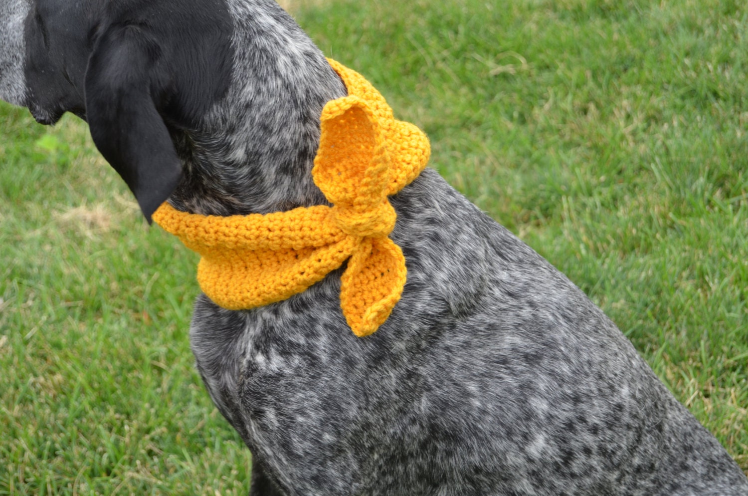 Crochet Dog Collar Dog Scarf Crochet Dog Bandana Dog Etsy