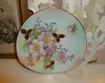 Beautiful Vintage Schumann Germany Dish Or Shallow Bowl / Wild Rose Pattern / 1950's / In Excellent Condition