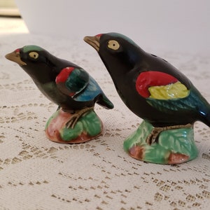 Vintage 1950&#39;s Ceramic Bird Salt and Pepper Set - Male & Female - Japan Made