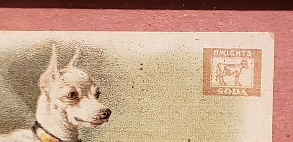 Vintage Dwight's Cow Brand Baking Soda Trading Card Etsy