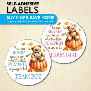 Pegatinas de fiesta de revelación de género de osito de peluche de otoño de 2,5 pulgadas con forma de calabaza pequeña, equipo niño, equipo niña, baby shower Enamorarse, podemos esperar.