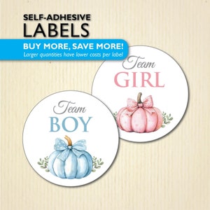 2,5-Zoll Little Pumpkin Gender Reveal Party Stickers, Team Boy, Team Girl, Babyparty im Herbst, Er oder Sie, für Voting Board - Pink und Blau