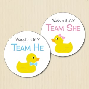 RUBBER DUCKY Género Revelar pegatinas de fiesta, Waddle It Be, Equipo Él, Equipo Ella, Baby Shower, Equipo Rosa, Equipo Azul, Equipo Chico, Equipo Chica