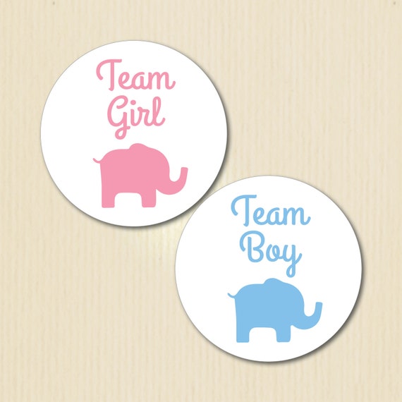 TEAM PRINCESS Stickers Labels 48 x GENDER REVEAL BABY SHOWER PARTY TEAM PRINCE
