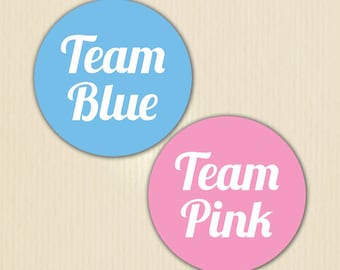 Gender Reveal Party Sticker, Team Blue, Team Pink, Baby Shower, Girl or Boy, He or She, Pink or Blue, Gender Reveal Pin, Team Boy, Team Girl