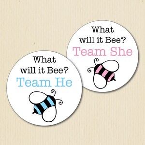 Pegatinas para fiesta de revelación de género de BUMBLE BEE, ¿Qué será?, Equipo él, Equipo ella, Baby Shower, Equipo rosa, Equipo azul, Equipo niño, Equipo niña