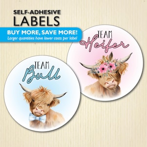 Stickers fête vache Highland, génisse ou taureau, baby shower de vaches duveteuses, baby shower à la ferme, équipe He, équipe elle, équipe garçons, équipe filles