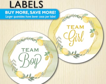 Lemon Gender Reveal Party Stickers, Lemons Baby Shower, Mama's Main Squeeze Decor, Favor Labels - Voting Team He or She, Team Boy, Team Girl