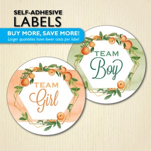 Little Cutie Gender Reveal Party Stickers, Clementinen, Baby Orange Label, A Little Cutie is on the way, Team He or She, Team Boy, Team Girl