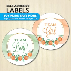 Sweet Little Peach Gender Reveal-feeststickers, babyshower perzik, decor perziken, gunstlabels - stemteam he of zij, teamjongen, teammeisje
