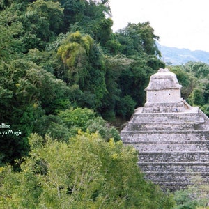 Könnte beinhalten: Eine Steinpyramide mit flachem Gipfel und mehreren Stufen, umgeben von üppigem Grün. Die Pyramide befindet sich in einer Dschungelumgebung.