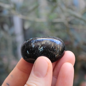 Dancing Light Nuummite* Authentic Greenland Nuumite* Very Rare