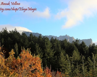Autumn Mountain Forest Photography* Bugarach Mountain Photography
