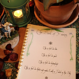 The Book of Fairies-