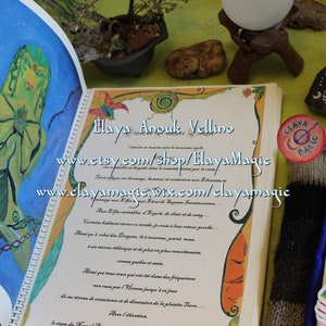 May include: An open book with a yellow and orange cover. The book has a handwritten inscription in French. The book is open to a page with a drawing of a woman with green skin and a blue background. The book is surrounded by other items, including a small potted plant, a stone with the words "inner peace" written on it, a small round pin with the words "Claya Magic" on it, and a deck of tarot cards.