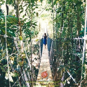 Brücke des Lichts - Fotografie - Bahia, Brasilien -alte Stil Fotografie