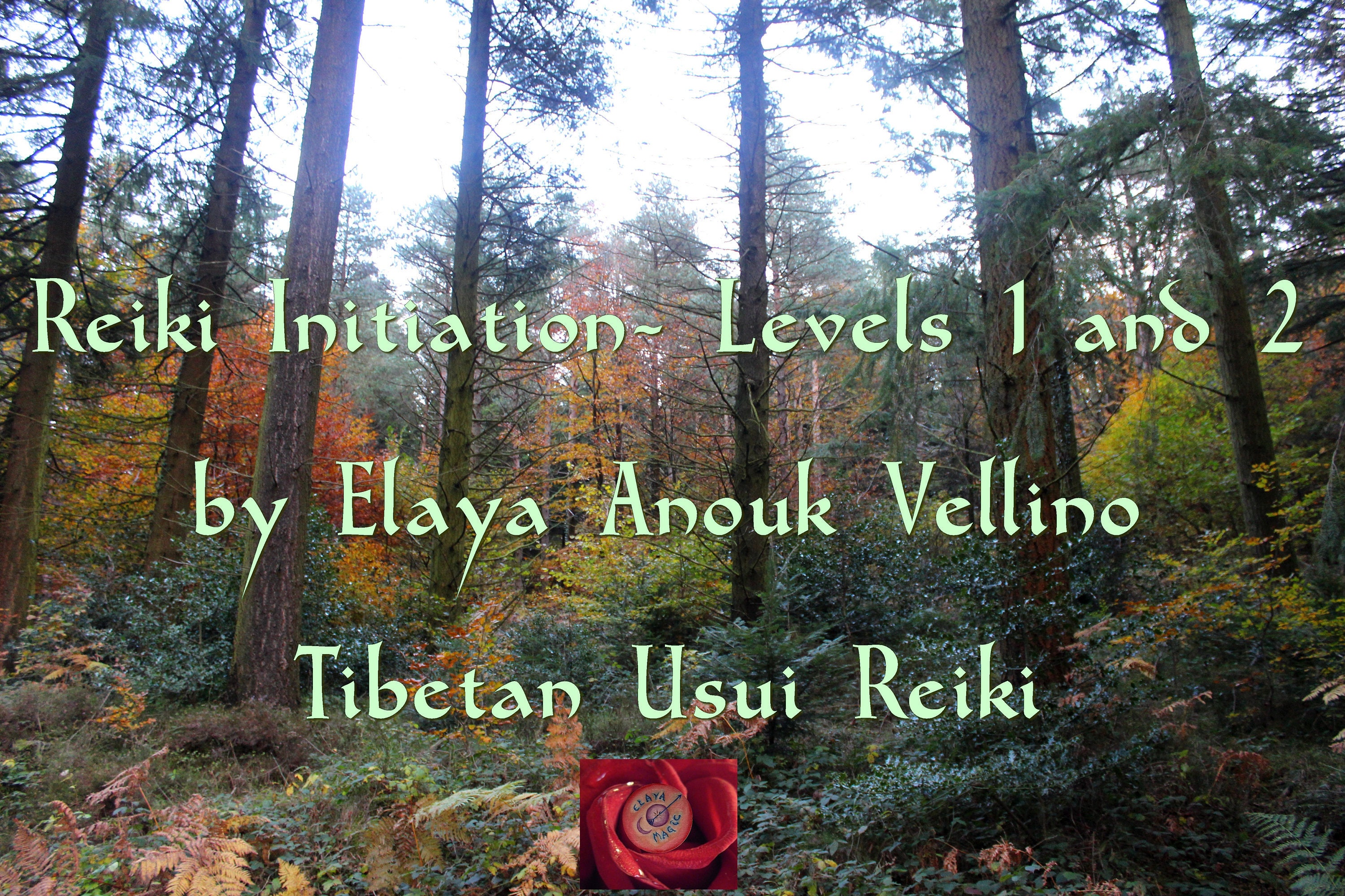 Initiation de Reiki A Distance Tibetain Usui Niveau 1 et 2