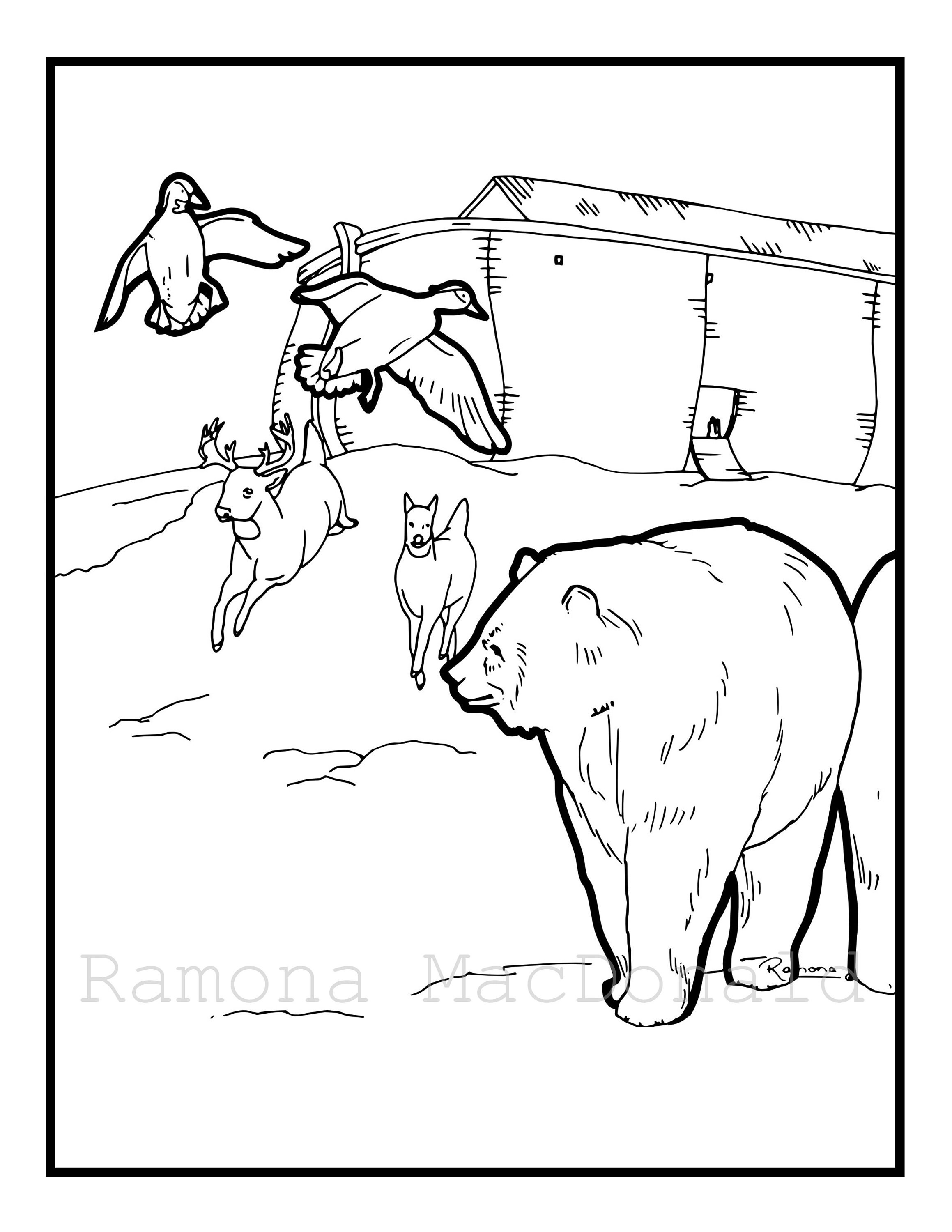 Noah's Ark Printable Coloring Pages Adult Colouring Book | Etsy