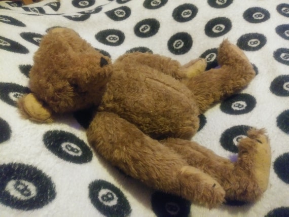 bear with button eyes