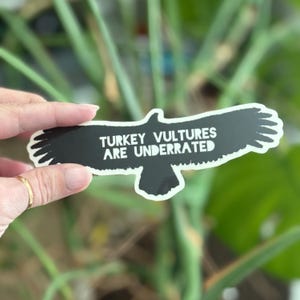 Sticker (grand) Les vautours sont sous-estimés