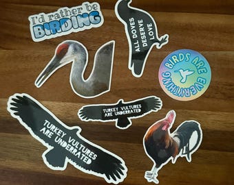 Sticker Pack - ALL BIRDS!