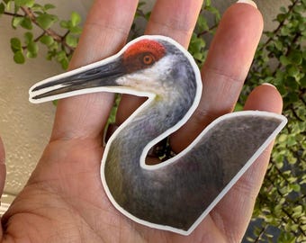 Sandhill Crane Sticker