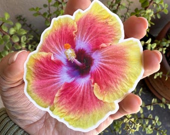 Tequila Sunrise Hibiscus (Rosa-Sinensis) Sticker