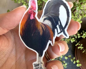 Kauai Rooster Sticker: Glossy Weatherproof Vinyl Decal