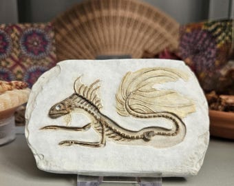 Fósil de pez mermoid