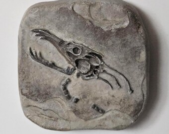 Deseo: Fósil del cráneo de una criatura fantástica: un dragón marino
