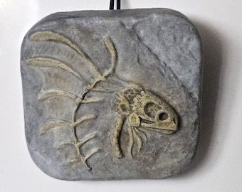 Dorado: Cráneo fósil de una criatura fantástica con forma de pez sirena.