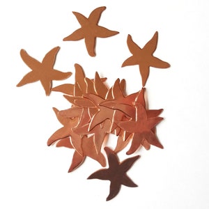 Starfish Copper Blank 24g