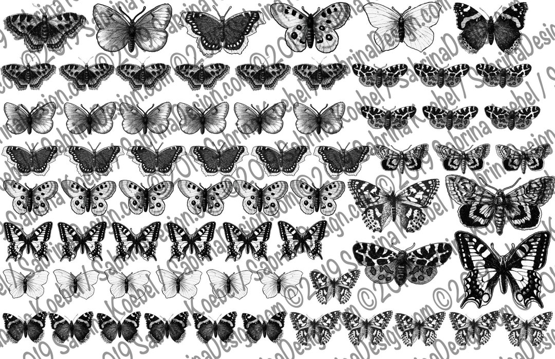 Butterfly Waterslide Decals for Lampworking Enameling & Etsy