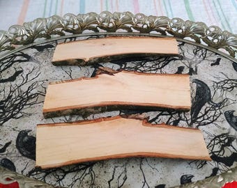 3 Genuine Pecan Hardwood Live Edge Tree Wood Slabs Wedding Decor, Table Decorations, Drink Coasters,  Woodland Themed, Woodsman Lumberjack